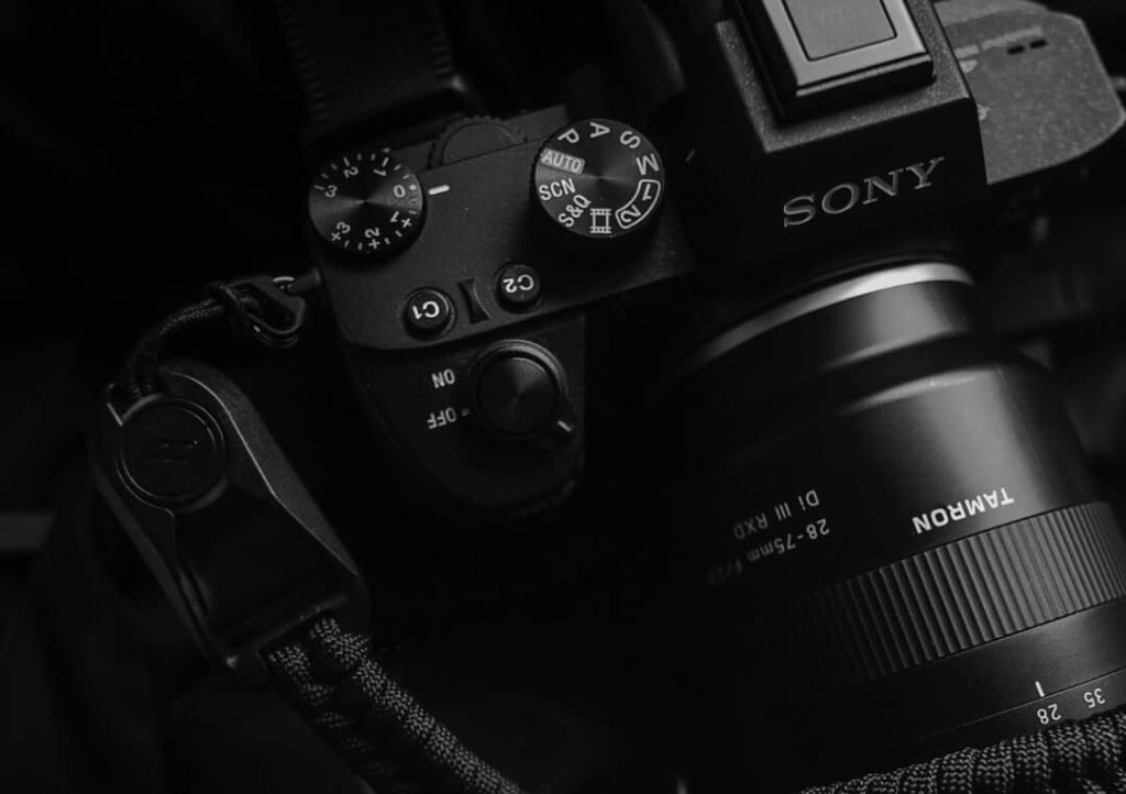 Which Camera Will Survive? Sony a1, Nikon Z9 and Canon R3 3 1024x722