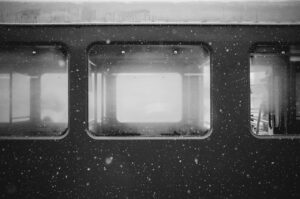 23698511824 90ddacdaf0 K 300x199