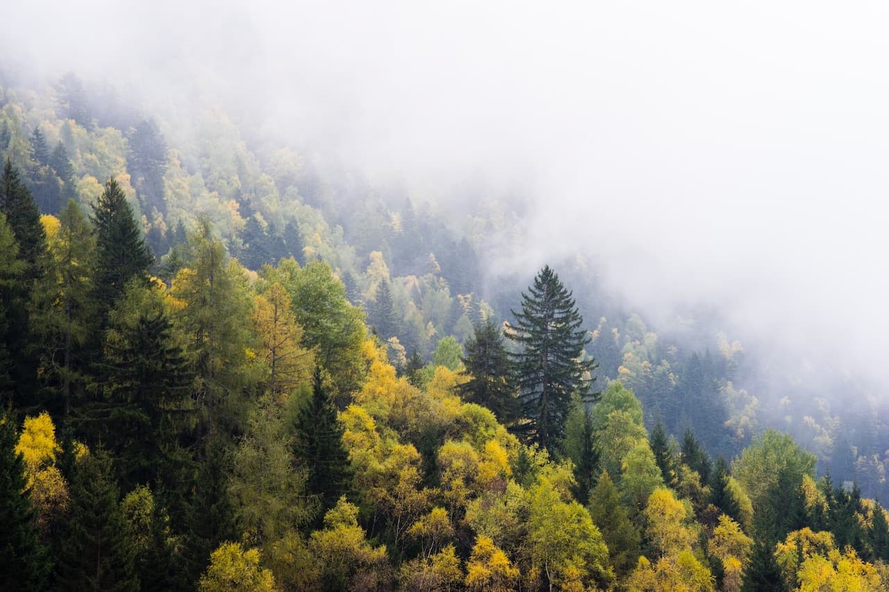 alberto restifo y9csmront3s unsplash
