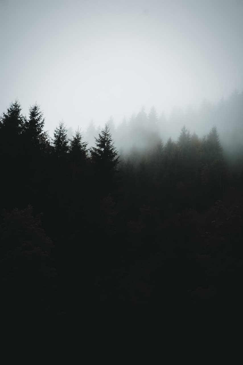 nicolas roshylo uuvjeskfnki unsplash