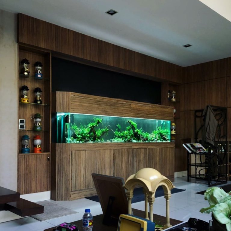 Work Green Mania Rom Ruen Village Private Residence