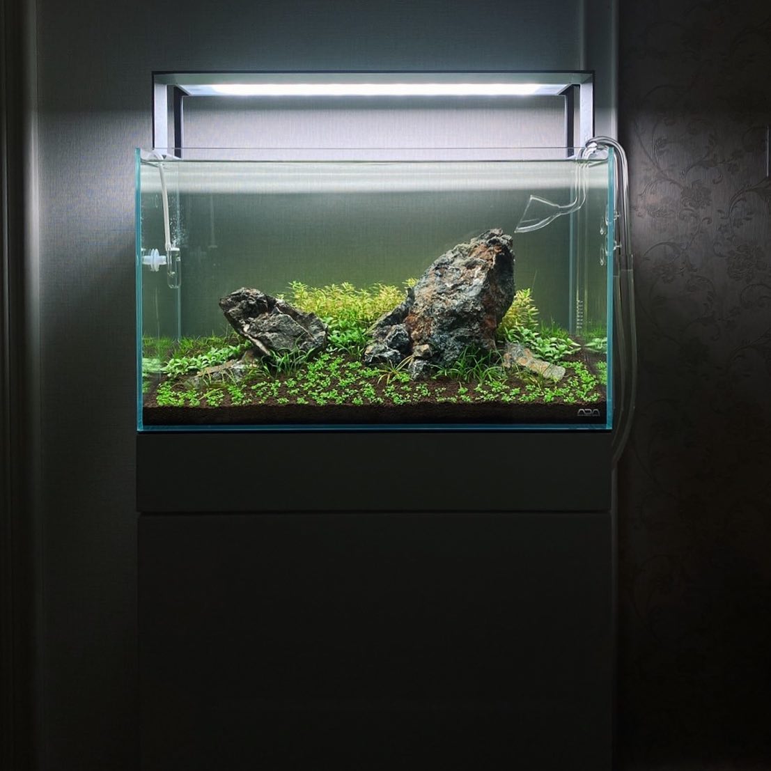 @pp.kritt ‘s 60 P With AQUASKY RGB Setup