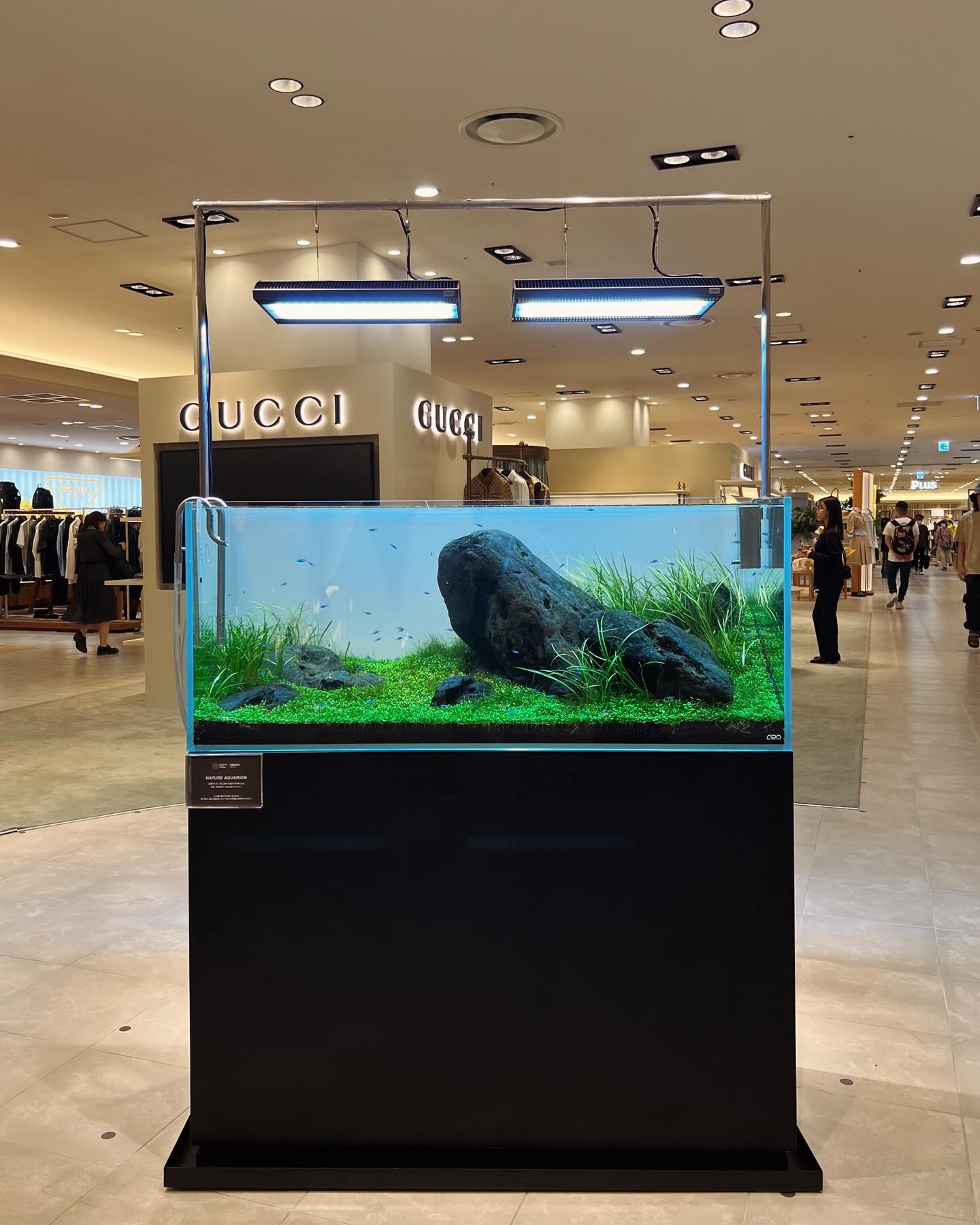 W1200 ADA FULL STSTEM At ADA LAB Umeda