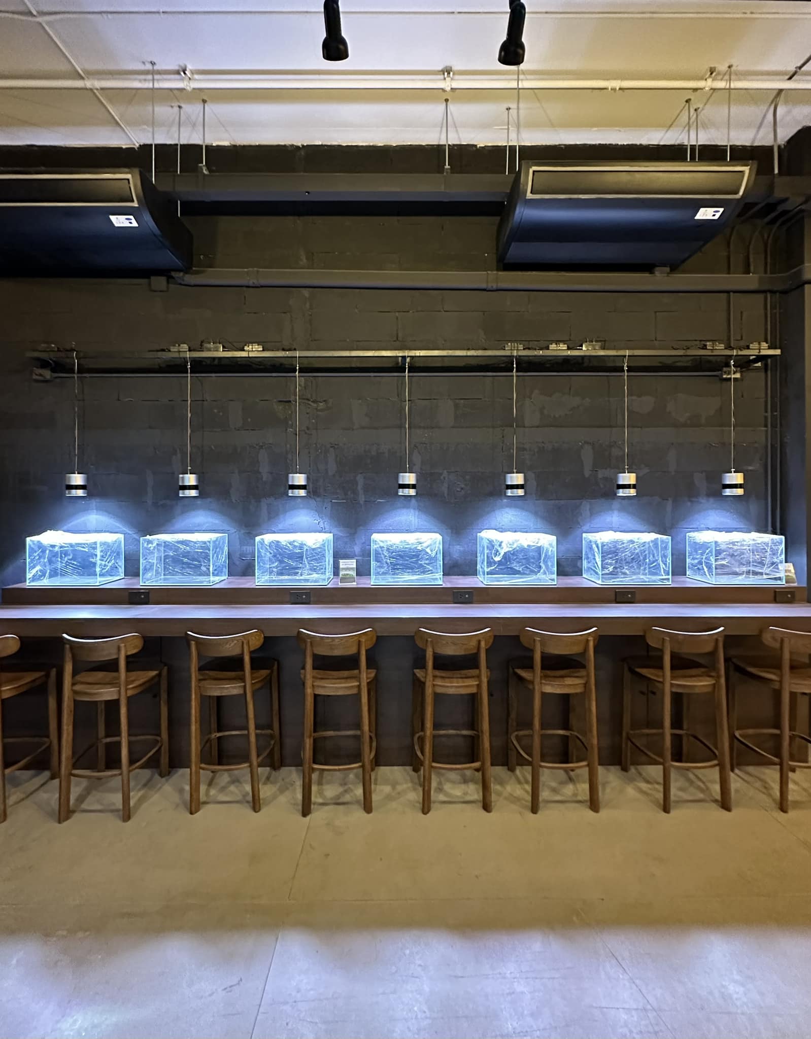 At Termtem Coffee สาขา Summer Hill BTS พระโขนง